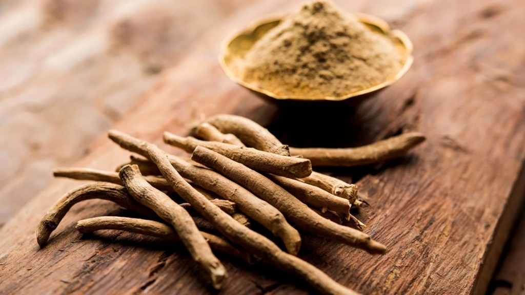 Ashwagandha et cerveau : un nootropique anti-stress&nbsp;?